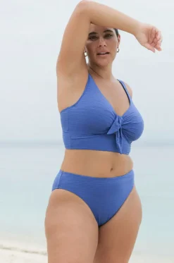 Bikini Tops^Artesands Aria Cezanne D/DD Cup Bra Blue