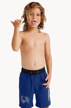 Boardshorts^Billabong Boys Afterlife Elastic Boardshort Royal