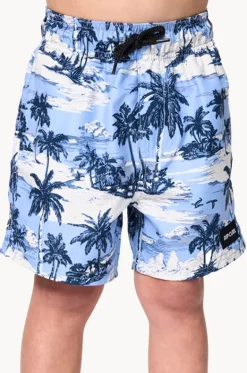 Boardshorts^Rip Curl Boys Dreamers Volley Boardshort Ice blue