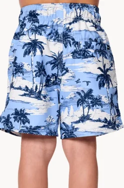 Boardshorts^Rip Curl Boys Dreamers Volley Boardshort Ice blue