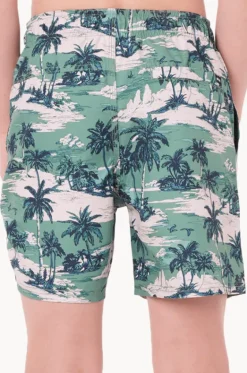 Boardshorts^Rip Curl Boys Dreamers Volley Boardshort Leaf