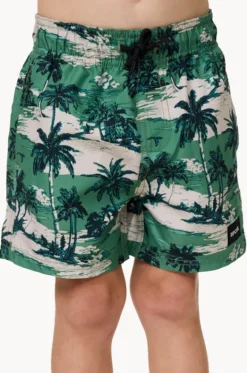 Boardshorts^Rip Curl Boys Dreamers Volley Boardshort Leaf