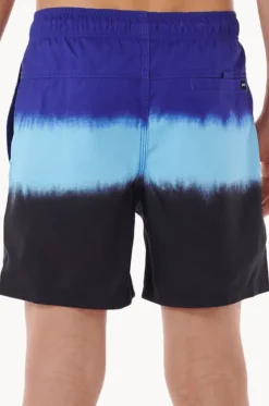 Boardshorts^Rip Curl Boys Evolution Dip Volley Boardshort Wildberry