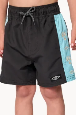 Boardshorts^Rip Curl Boys Wave Dayz Panel Volley Boardshort Washed Black