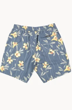 Boardshorts^Quiksilver Mens Everyday Straight Volley 17" Boardshort French blue