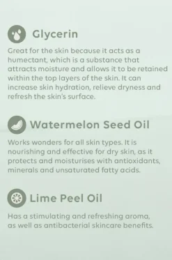 Travel|Home & Body^Al.ive Body Watermelon & Lime Sanitiser Spray